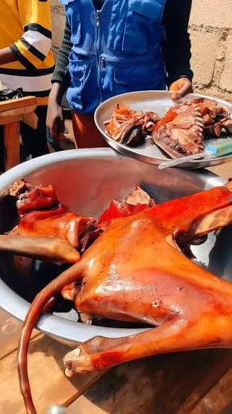 Ngas dog meat — a dish of the ngas people