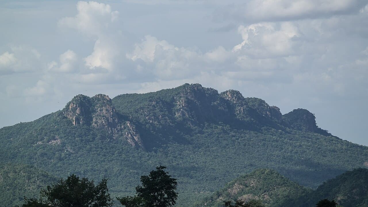 a view from shere hills