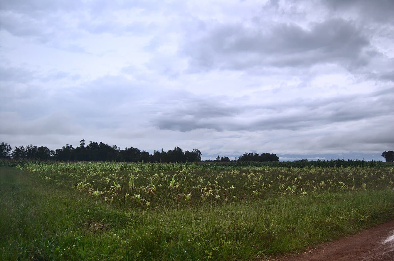 Village near Bokkos.