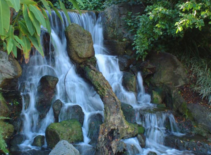 Assop Falls dropping over mossy granite through thick green bush
