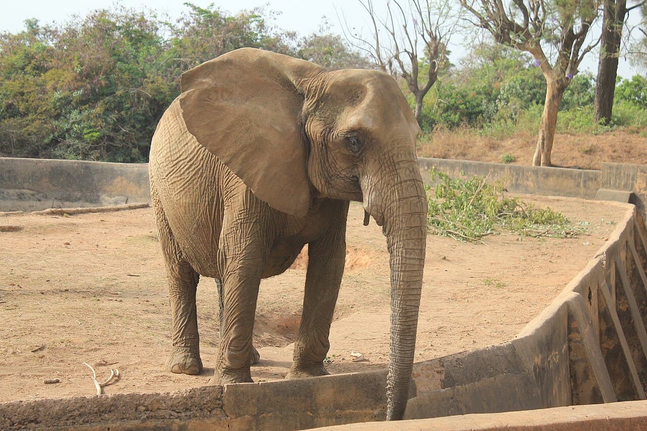 This is an image with the theme "Home + Habitat in Africa" from: