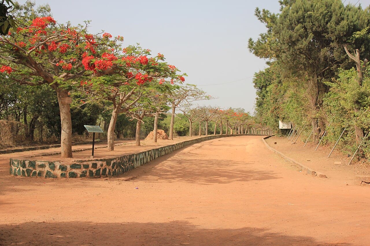 This is an image with the theme "Home + Habitat in Africa" from: